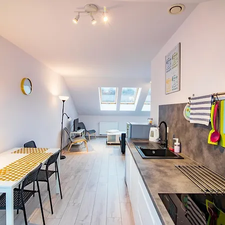 Apartament Rodzinny Mountain Aparts Swieradow-Zdroj Exterior photo