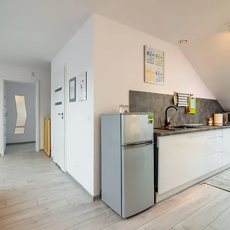 Apartament Rodzinny Mountain Aparts Swieradow-Zdroj Exterior photo